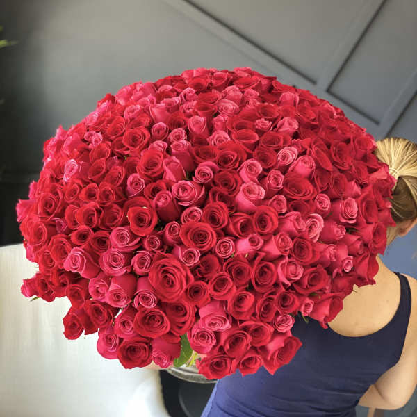 Large bouquet of red and pink roses held by a person
