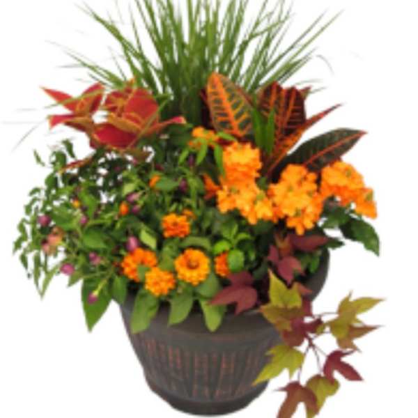 Fall Porch Planter
