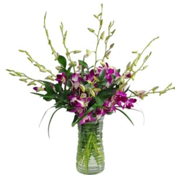 Purple orchids in a clear glass vase with tall branching stems