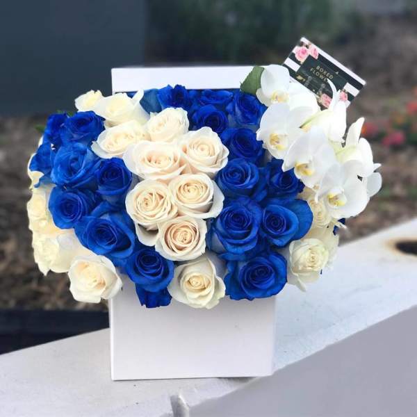 Blue and white roses arranged in a white box with white orchids