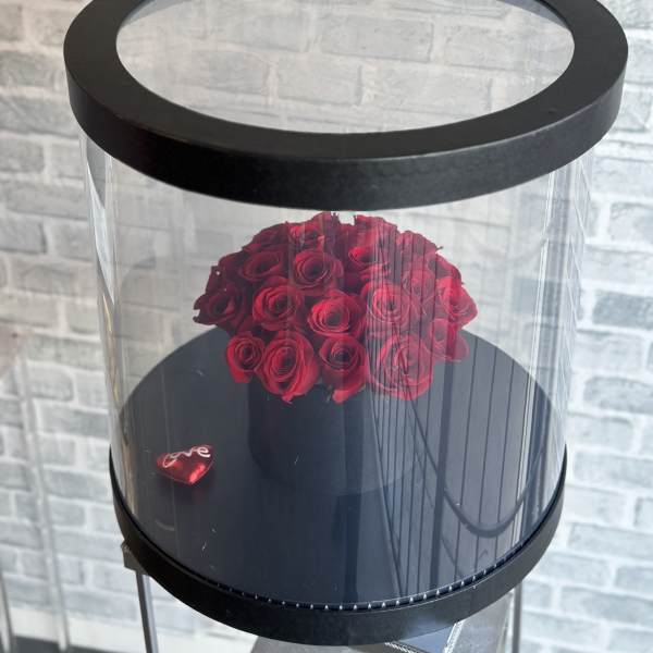 Red roses arranged in a black round box with a clear lid