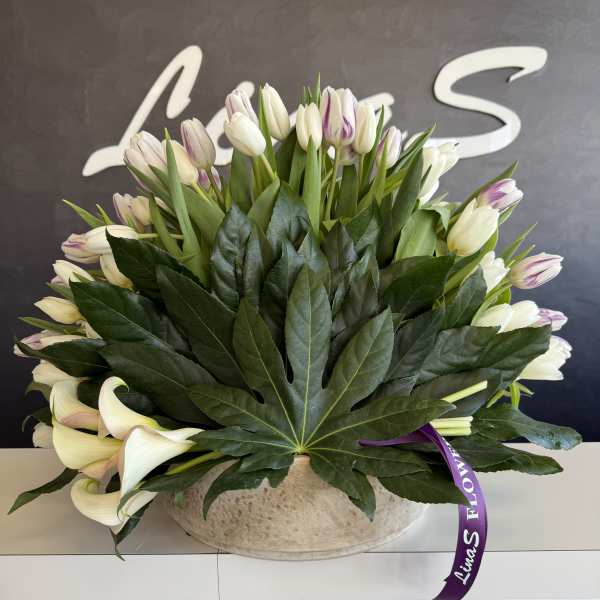 Bouquet of white and lavender tulips with large dark green leaves