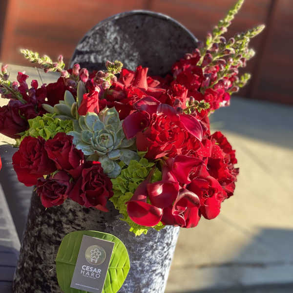 Intense Red Colors