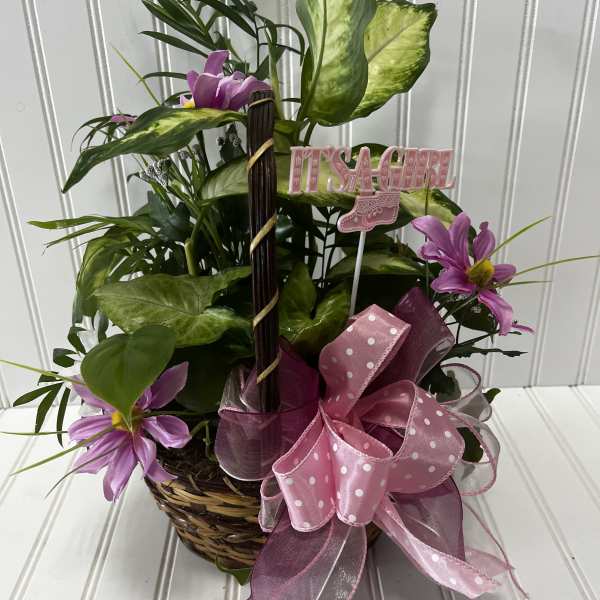 Basket arrangement with purple flowers, pink ribbon, and a "It's a Girl" pick