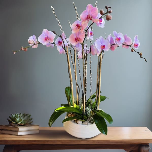 Pink orchid arrangement in a white bowl with succulents