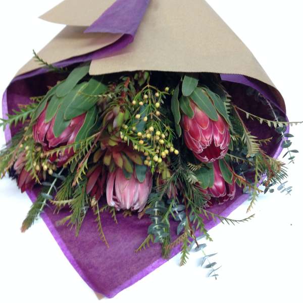Bouquet of pink protea wrapped in purple and tan paper
