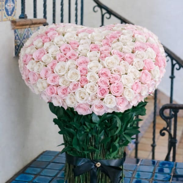 Large bouquet of pink and white roses tied with a black ribbon