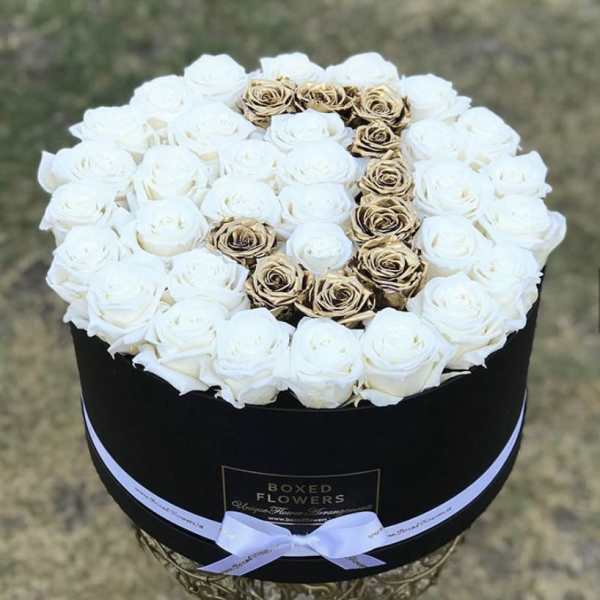Signature initial black box