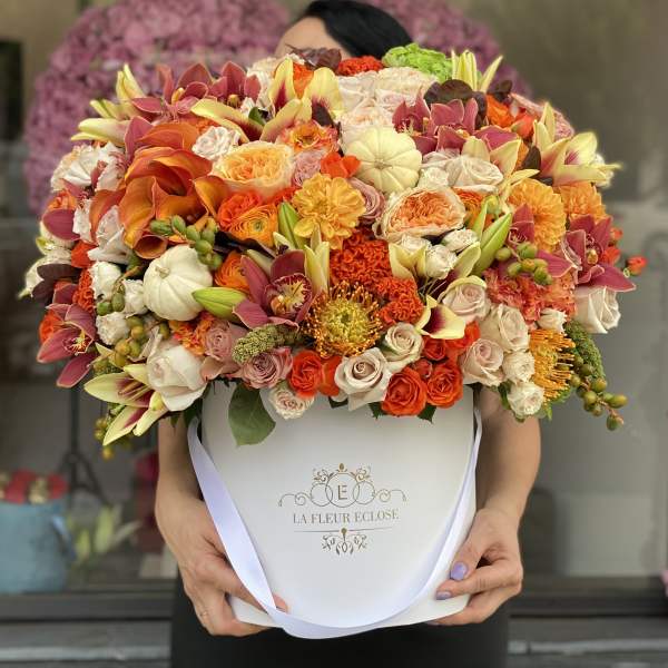 Elegant Oranges