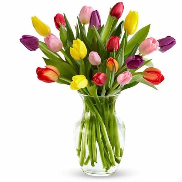 Colorful tulips arranged in a clear glass vase