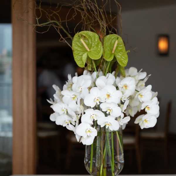 White orchids arranged in a clear glass vase with green anthurium accents
