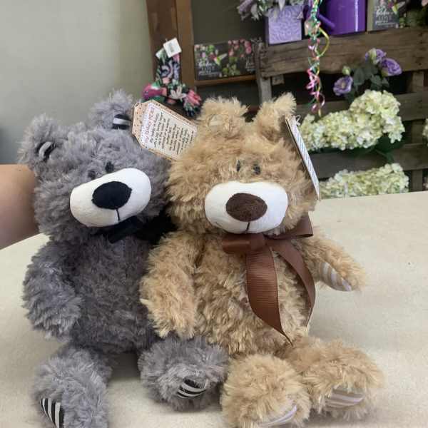 Two plush teddy bears sitting side by side on a counter.