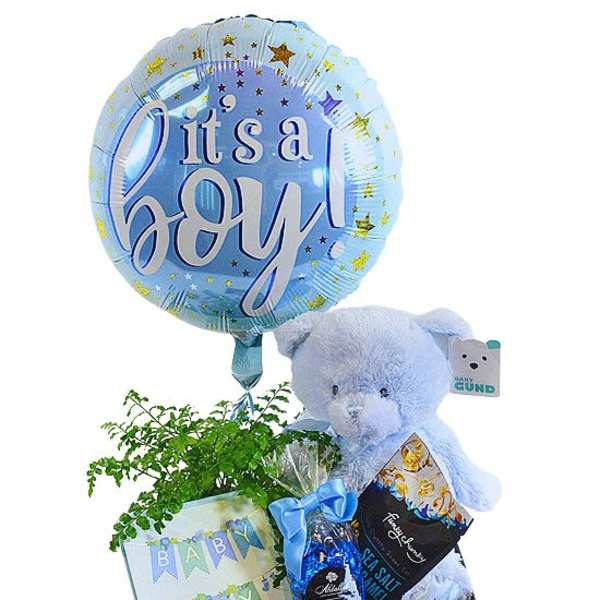 Baby boy gift basket with balloon, teddy bear, plant, and treats