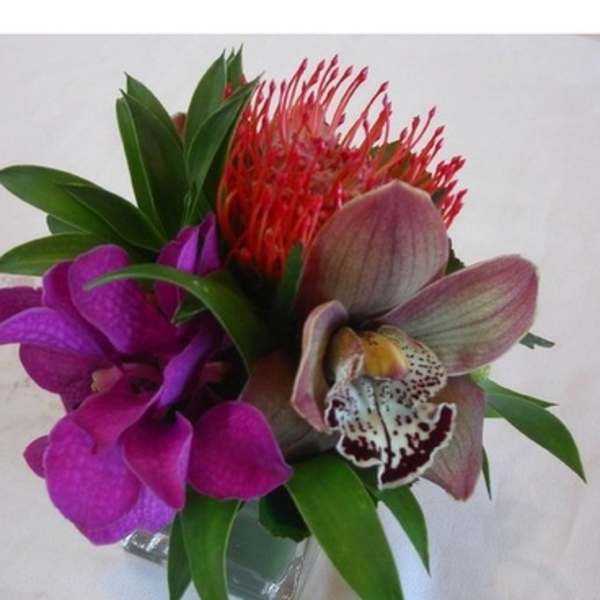 Tropical orchid arrangement in a glass vase with red protea and purple blooms