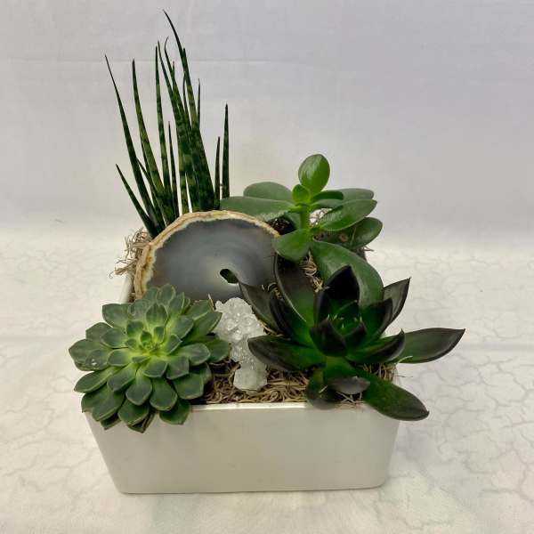Succulent arrangement in a white rectangular planter with a decorative stone slice
