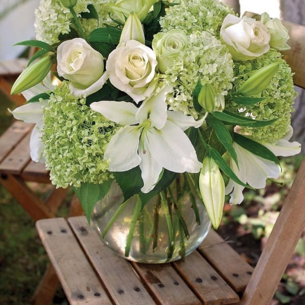 White Delight