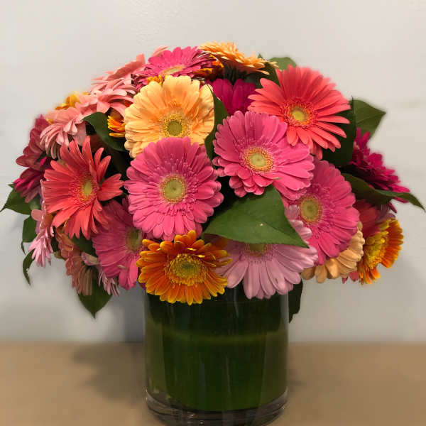 Colorful gerbera daisy bouquet in a glass vase