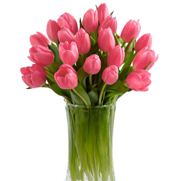 Pink tulips arranged in a clear glass vase