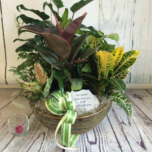 Mixed potted plants in a gold bowl with a ribbon and small stone