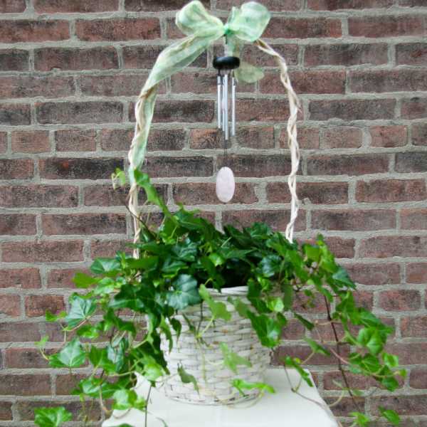 Potted ivy plant in a white hanging basket with a wind chime