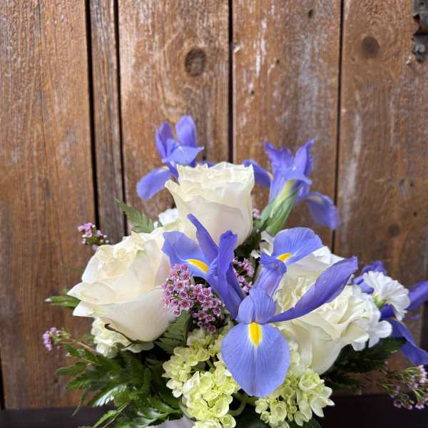 White roses and blue irises arranged in a white pot
