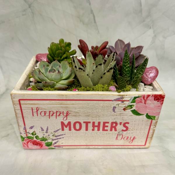 Succulent arrangement in a decorative wooden box labeled Mother's Day