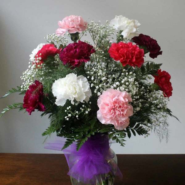 Dozen Mixed Carnations