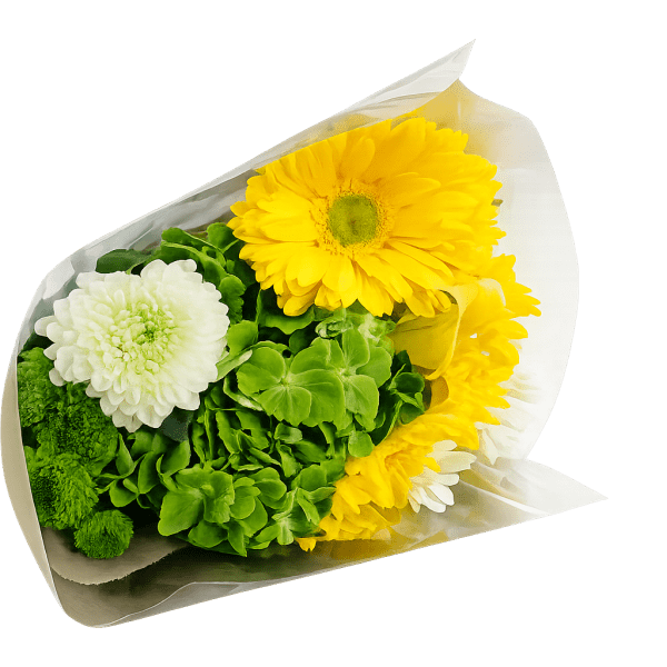Yellow and white flowers wrapped in white paper