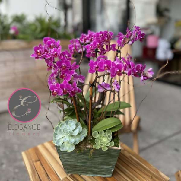 Purple orchids arranged in a square green planter with succulents