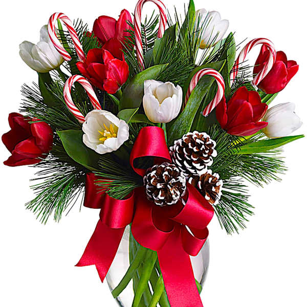 Red and white tulips with candy canes in a glass vase