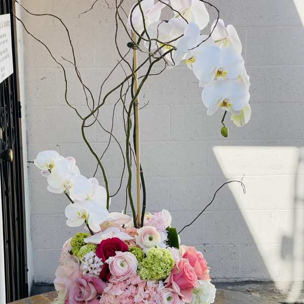 Tall floral arrangement with white orchids and pink roses in a patterned vase