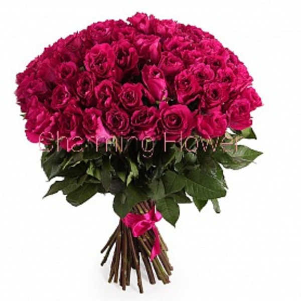 Two Dozen long Pink Roses. In vase.