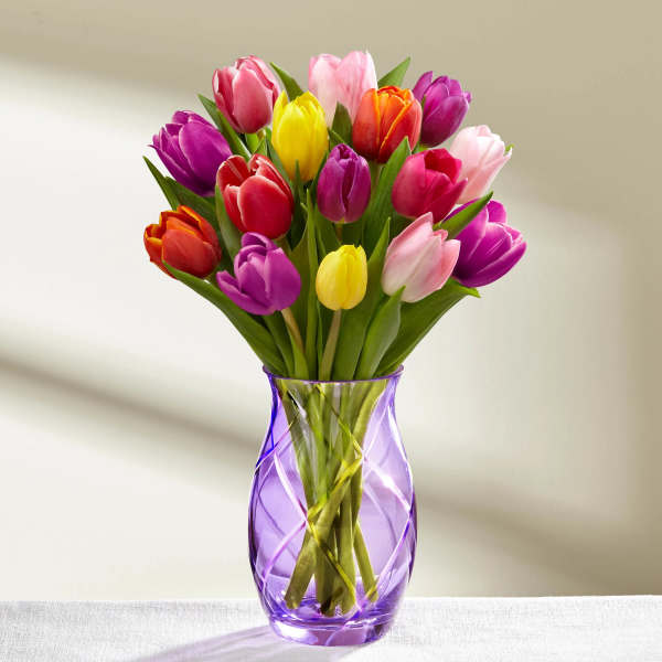 Colorful tulips arranged in a purple glass vase