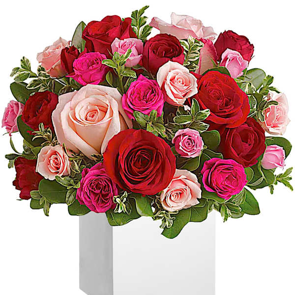 Mixed pink and red roses arranged in a white box