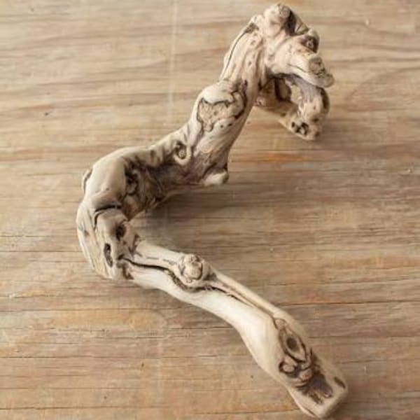 Curved piece of driftwood on a wooden surface