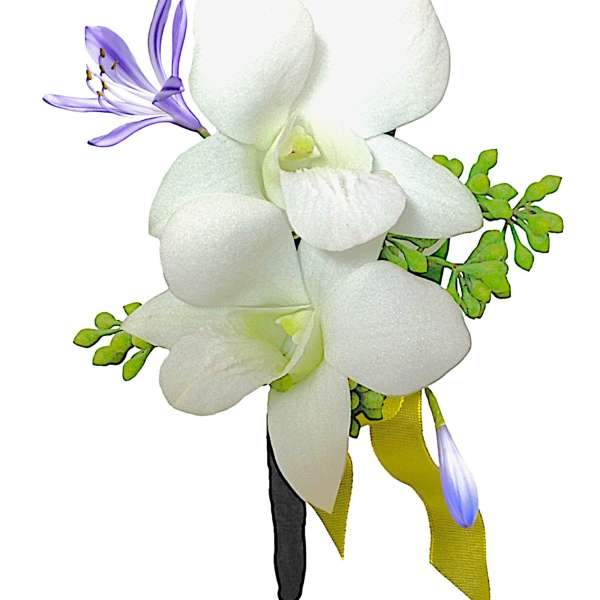 White orchid corsage with blue and purple accents and yellow ribbon