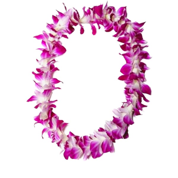 Purple and white flower lei on a white background