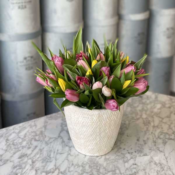 Pink and yellow tulips arranged in a white textured pot