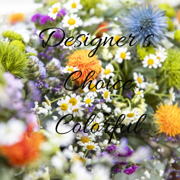 Colorful Designer Choice