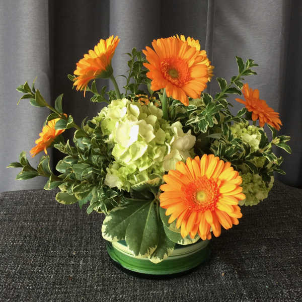 Citrus Fresh Daisies
