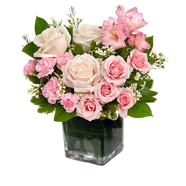 Pink and white roses in a square glass vase
