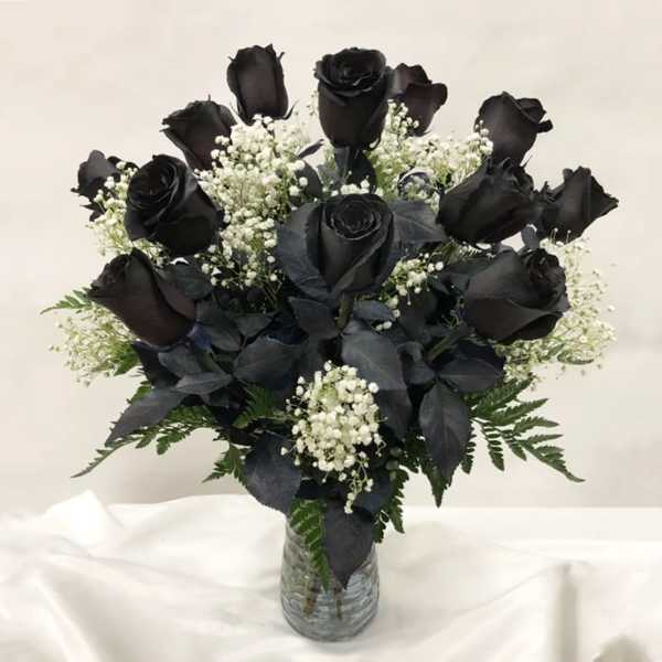 Bouquet of black roses and white baby's breath in a clear glass vase