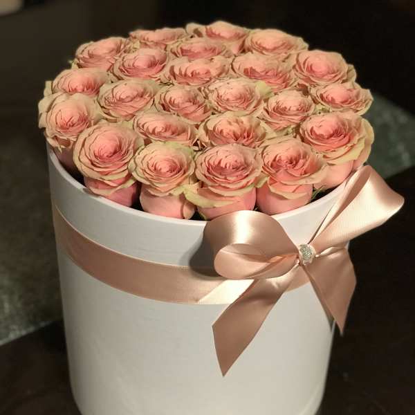 25 rose tall box