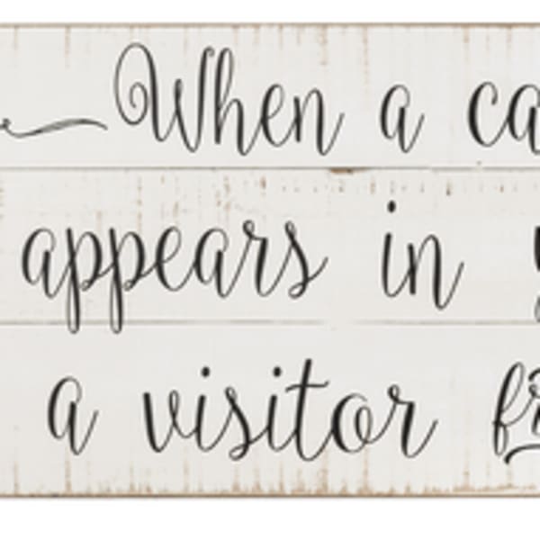 Wooden sign with cardinal illustration and memorial quote