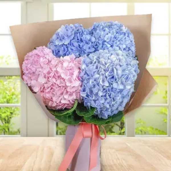 Bouquet of pink and blue hydrangeas wrapped in brown paper with a ribbon