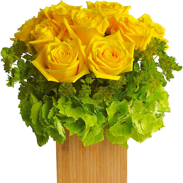 Yellow roses arranged in a wooden square vase with green hydrangea