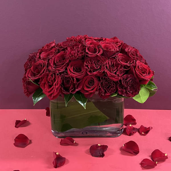 Red roses arranged in a clear square glass vase with scattered petals