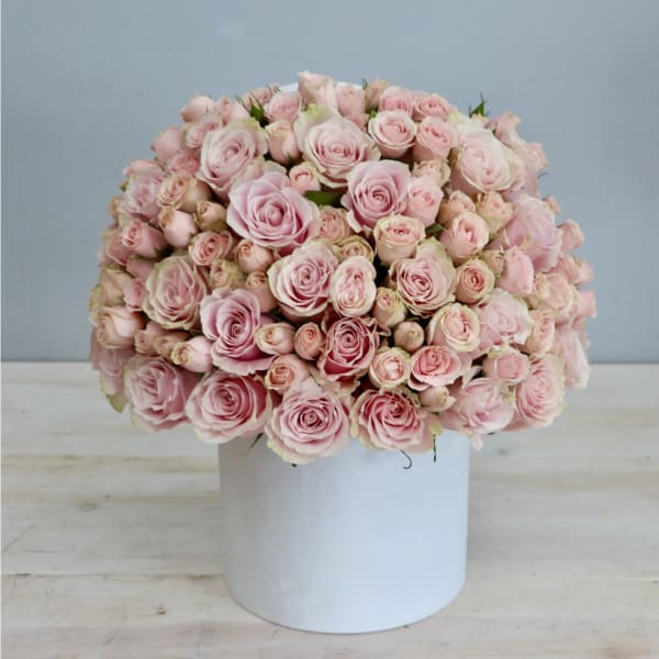 Round bouquet of pale pink roses in a white box