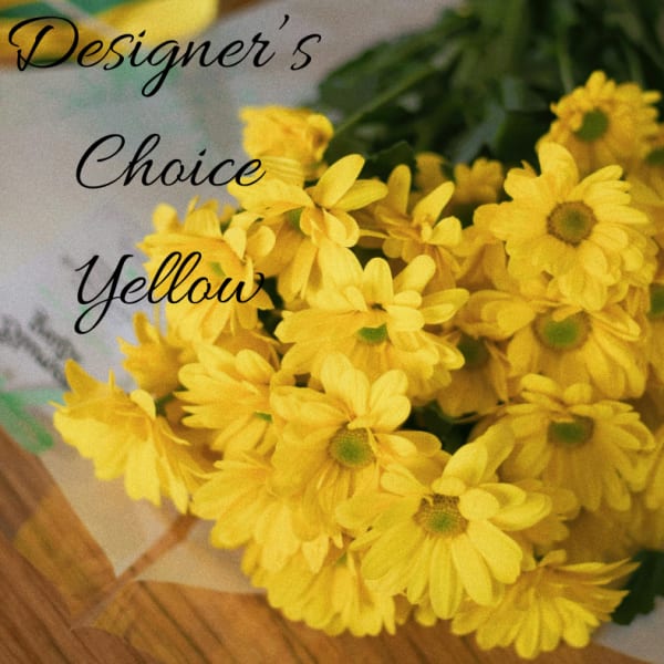 Designer Choice Yellow