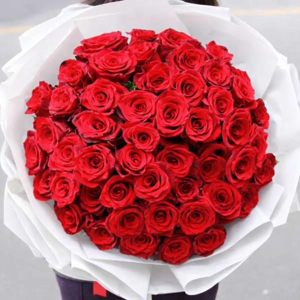 Large bouquet of red roses wrapped in white paper